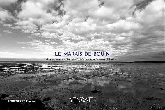 Image principale de Le marais de Bouin, les paysages d'un territoire à l'interface entre humain et littoral